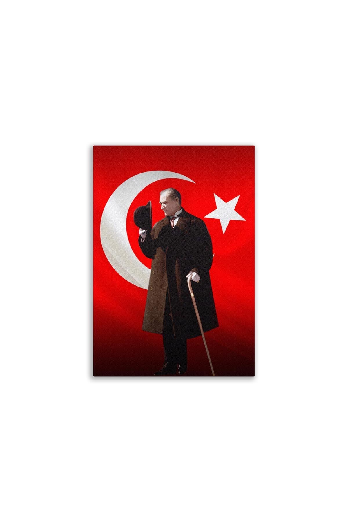 Resimli Kanvas Tablo