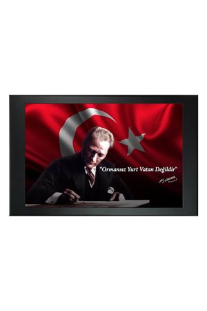 Resimli Makam Panosu