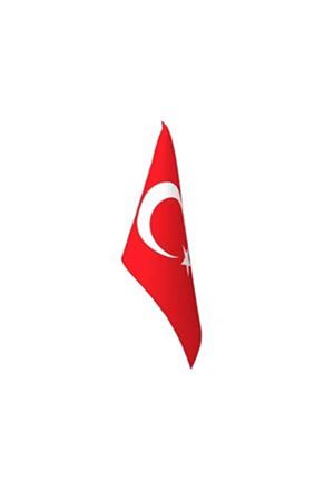 Türk Makam Bayrağı 